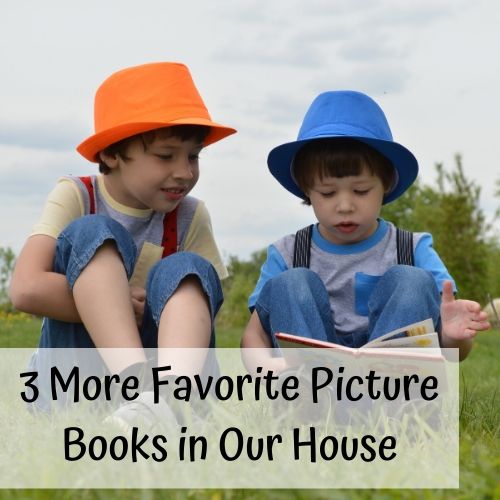 Top 3 Favorite Picture Books in Our House (2)