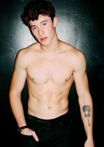 Shawn Mendes Net Worth - Turkish Weekly