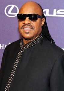 Stevie Wonder Net Worth - Turkish Weekly